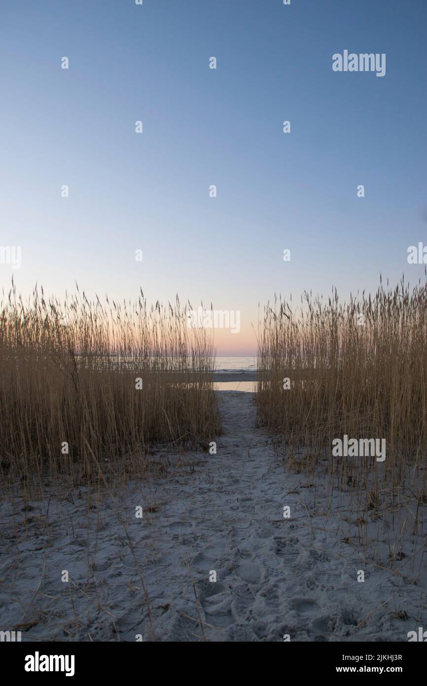 plage, mer baltique, vue sur la mer, plage de sable, coucher de soleil, délai d'attente Banque D'Images