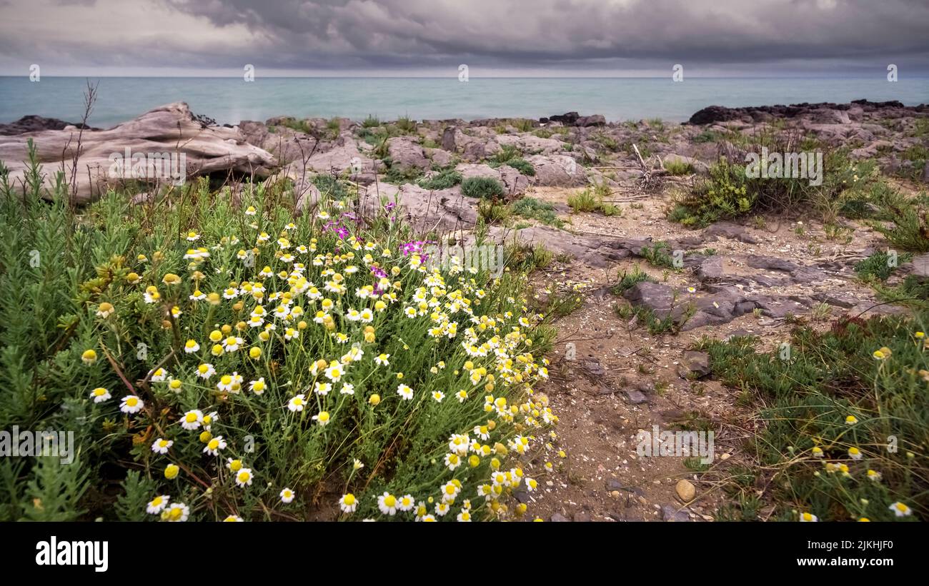 Plage près de Saint Pierre la Mer au printemps Banque D'Images