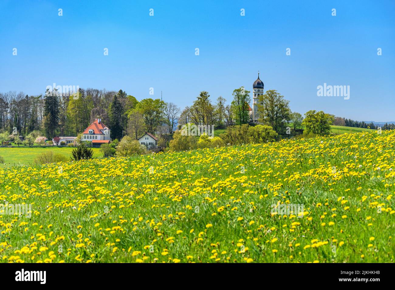 Allemagne, Bavière, pays de Tölzer, Münsing, quartier Holzhausen, Pré de printemps avec église paroissiale St. Johann Baptist Banque D'Images