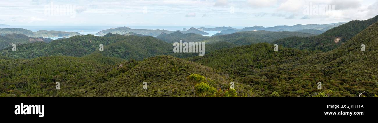 Paysage paisible sur les hautes terres de l'île de la Grande Barrière, Nouvelle-Zélande Banque D'Images Paysage paisible sur les hautes terres de l'île de la Grande Barrière, Nouvelle-Zélande Banque D'Images