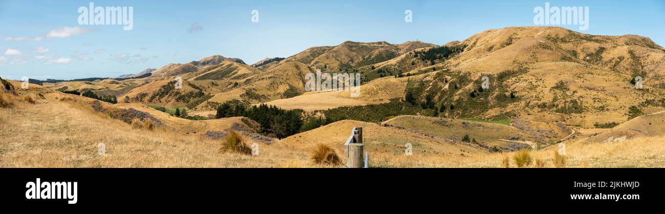 Terres agricoles et collines rurales sèches dans le district de Marlborough, île du Sud de la Nouvelle-Zélande Banque D'Images