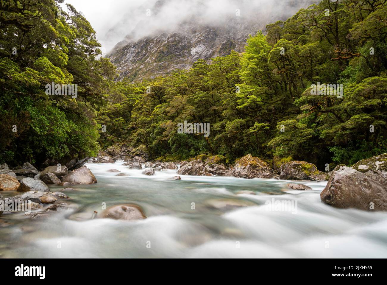 Montagne Monkey creek coulant à travers un paysage impressionnant à côté de l'autoroute Milford Sound, South Island of New Zealand Banque D'Images