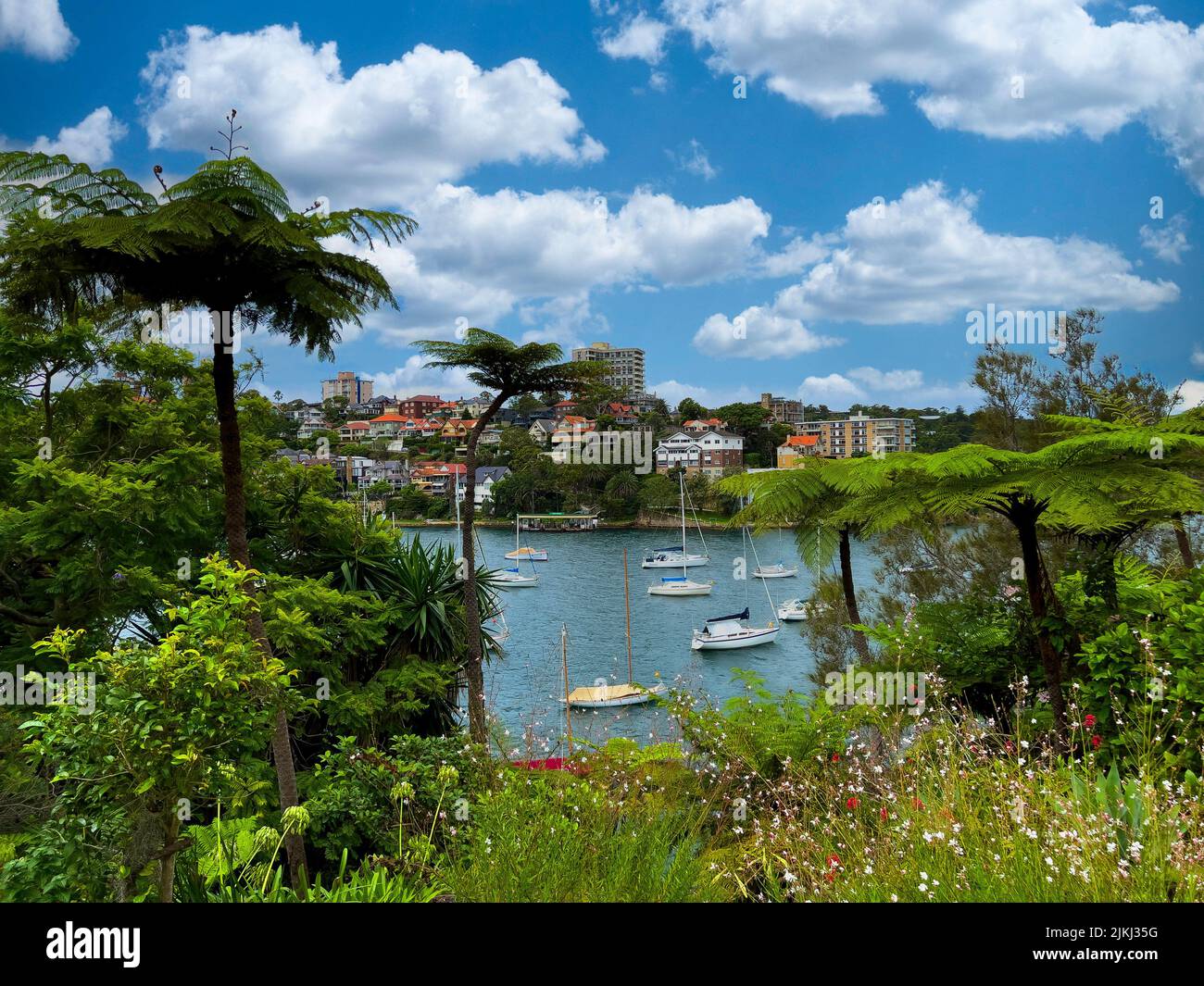 Cremorne point vue sur la mer et les yachts sous un beau ciel, Cremorne point à Mosman Bay Coastal Walk, Sydney, Australie Banque D'Images