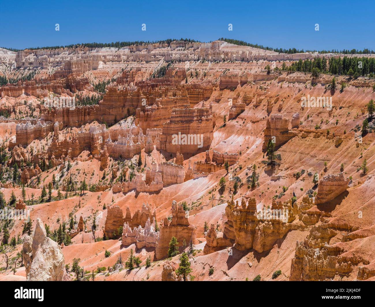 Vue d'ensemble de Fairview point. Parc national de Bryce Canyon. Utah. ÉTATS-UNIS. Banque D'Images