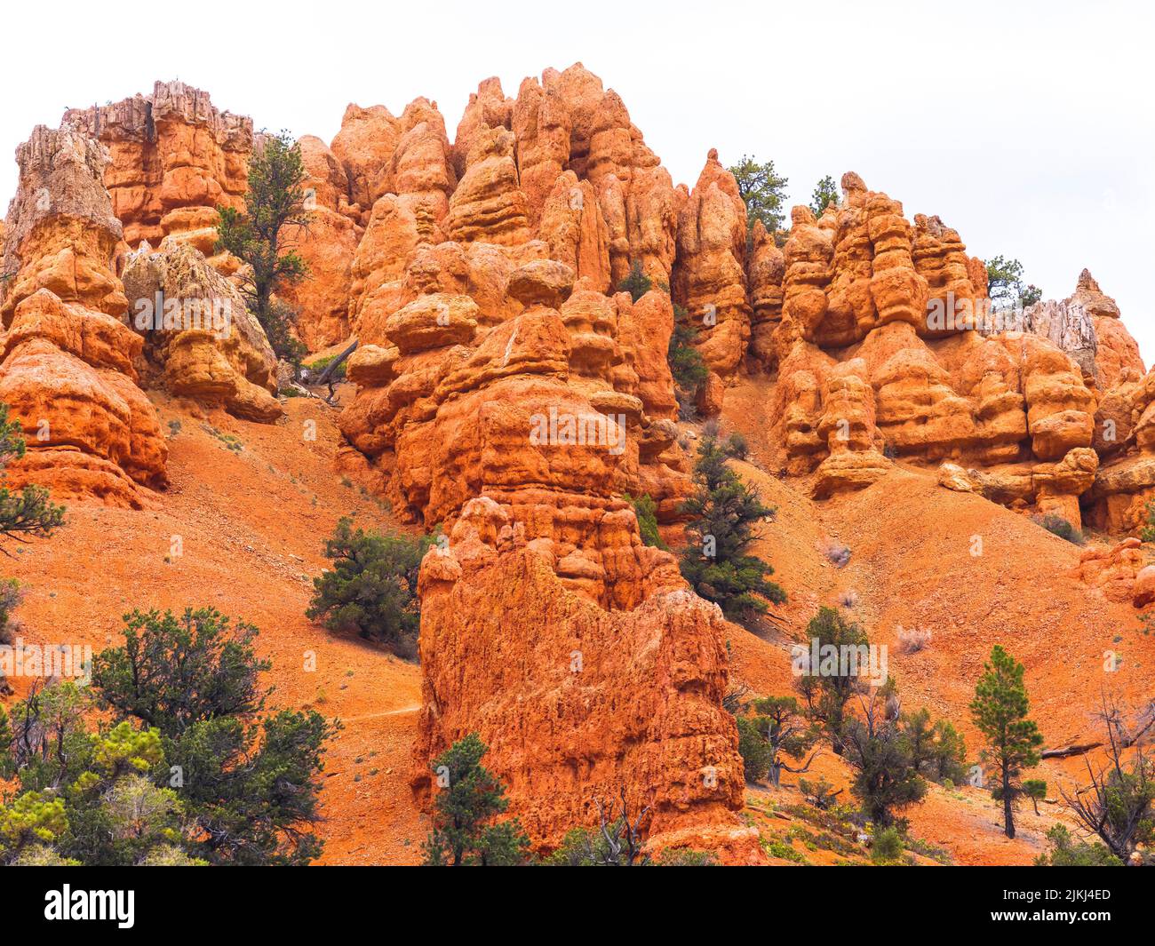 Red Canyon. L'Utah. USA. Banque D'Images