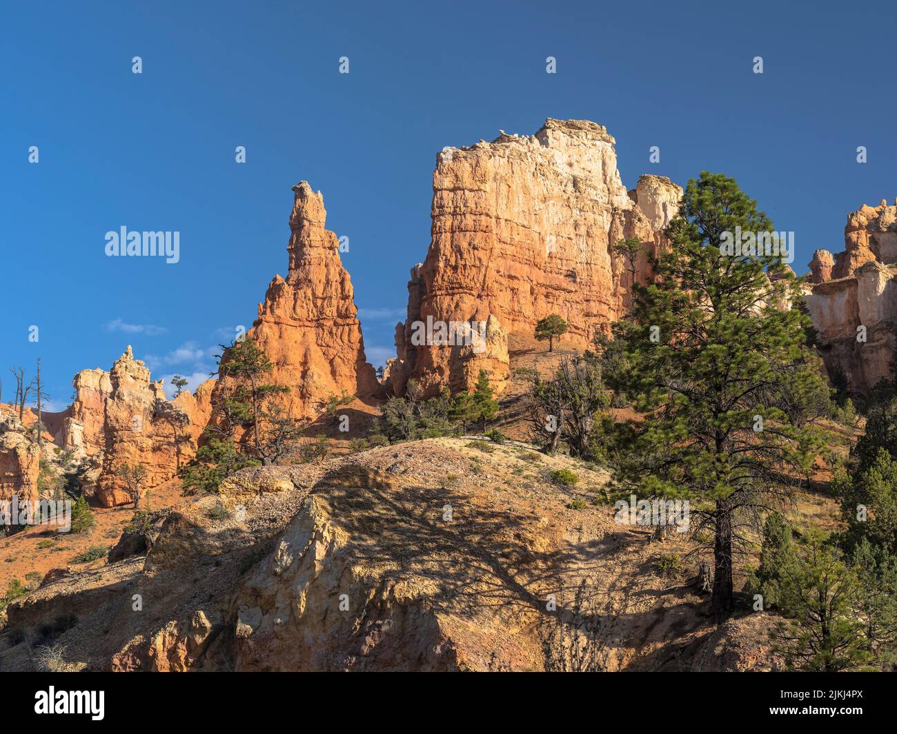 Mossy Cave Trail, parc national de Bryce Canyon, Utah, États-Unis, Banque D'Images