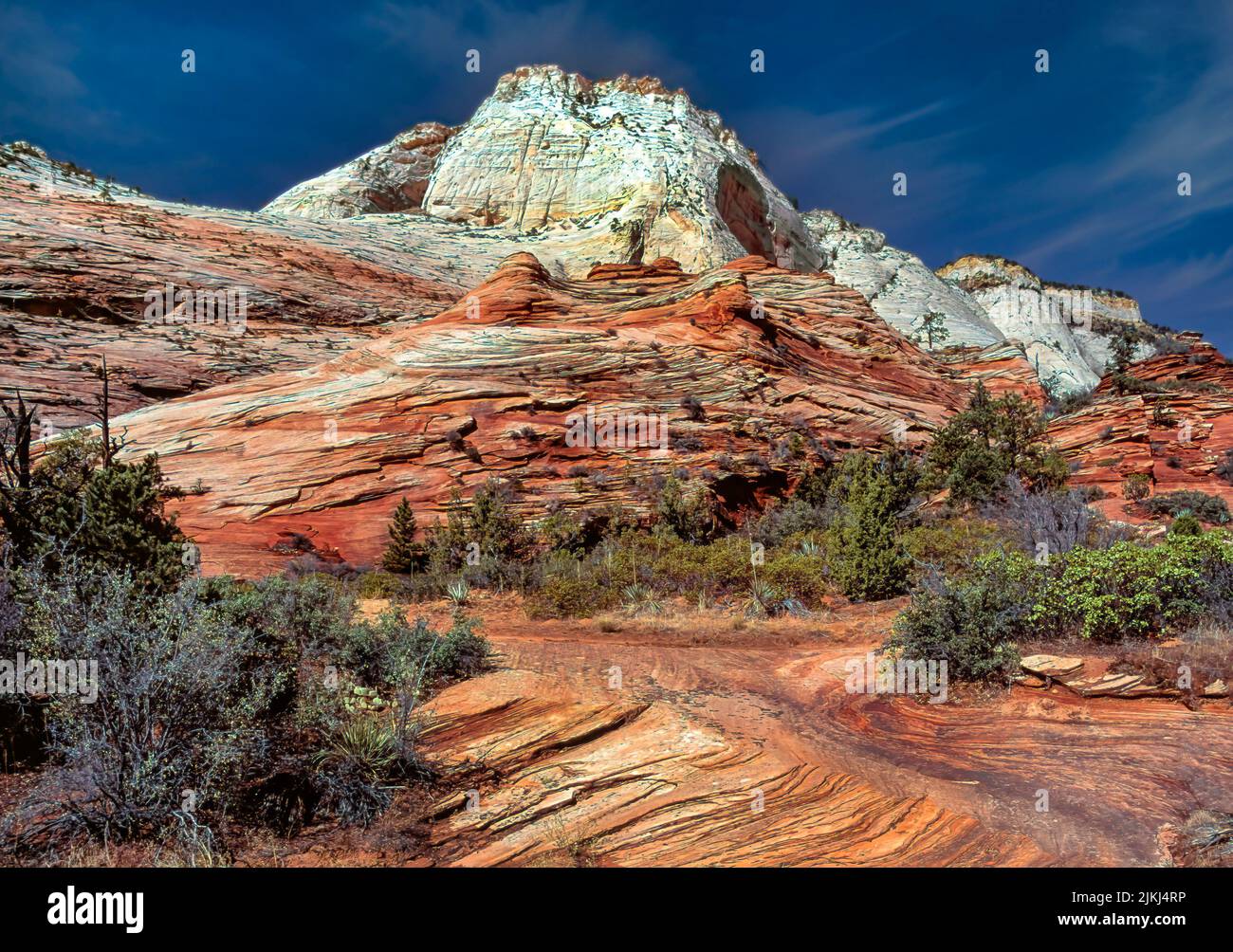 Montagnes de calcaire, parc national de Zion, Utah, États-Unis Banque D'Images
