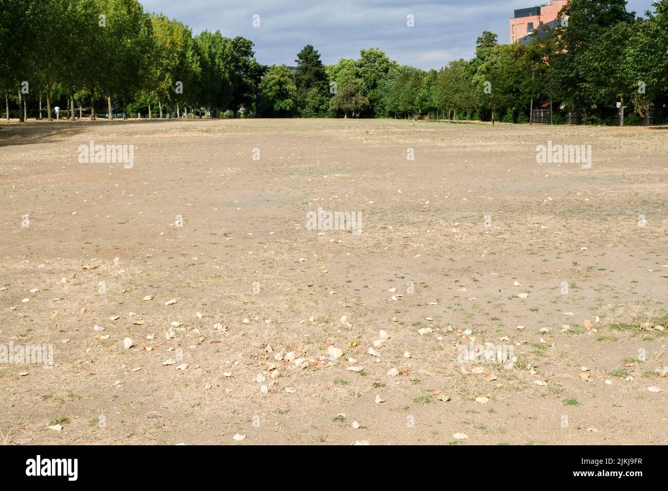 Finsbury Park, Londres, Royaume-Uni. 2nd août 2022. Météo au Royaume-Uni : avertissements de sécheresse pour le Royaume-Uni, paysages secs à Finsbury Park, au nord de Londres. Crédit : Matthew Chattle/Alay Live News Banque D'Images