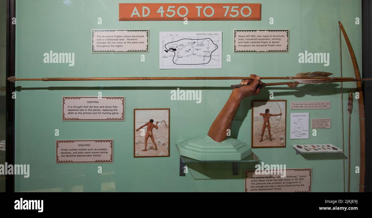Période Basketmaker modifiée, AD 450 à 750 exposition de musée de la façon dont un atlatl est utilisé pour chasser le grand jeu par les premières cultures pré-histoire. Mesa Verde Na Banque D'Images