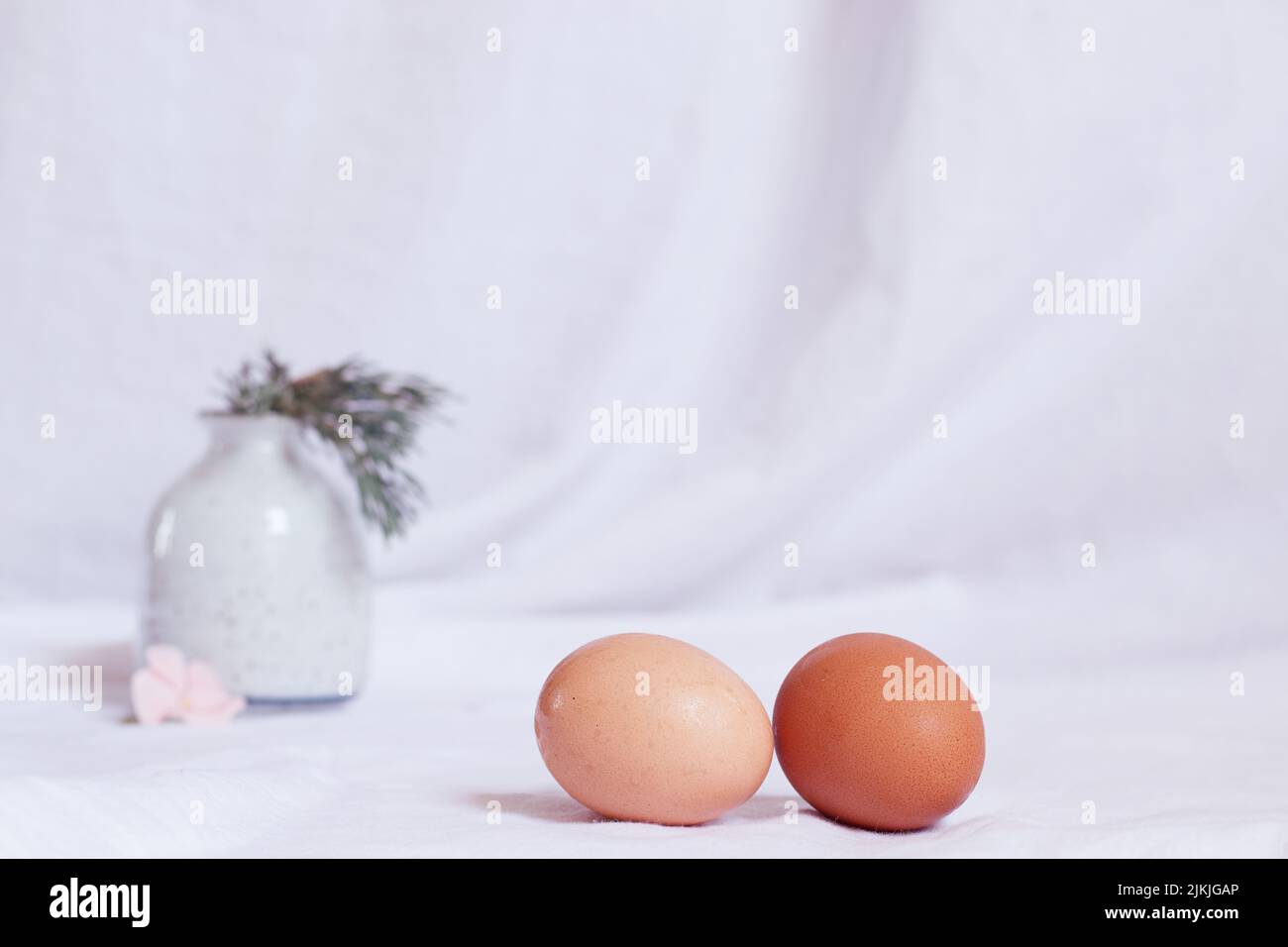 Une paire d'oeufs mouillés de Pâques avec le fond blanc d'un vase et des fleurs Banque D'Images
