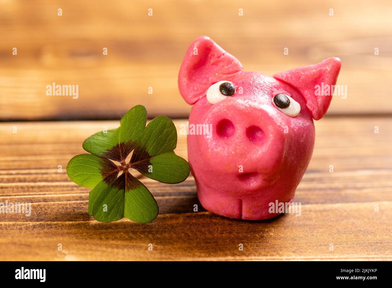 green shamrock avec cochon chanceux sur un fond de bois signe de bonheur Banque D'Images