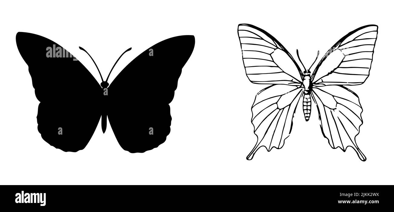 Logo et icône en forme de papillon avec contour noir, vecteur sur fond blanc, ensemble Illustration de Vecteur