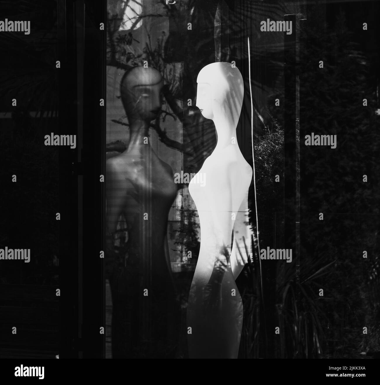 Une photo en échelle de gris du mannequin blanc devant le miroir avec des arbres à l'arrière Banque D'Images