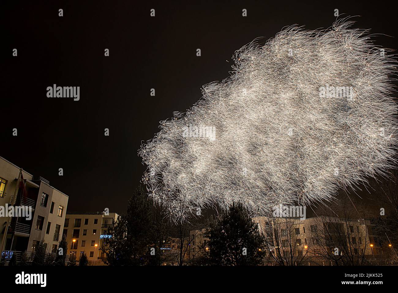 Un magnifique feu d'artifice dans le ciel sombre de Riga, Lettonie pendant le nouvel an Banque D'Images