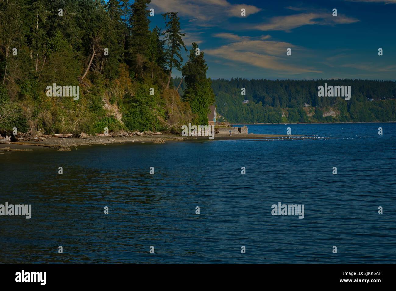 Une vue panoramique sur l'île de Whidbey, Washington, avec un rivage bordé d'arbres, par une journée ensoleillée Banque D'Images