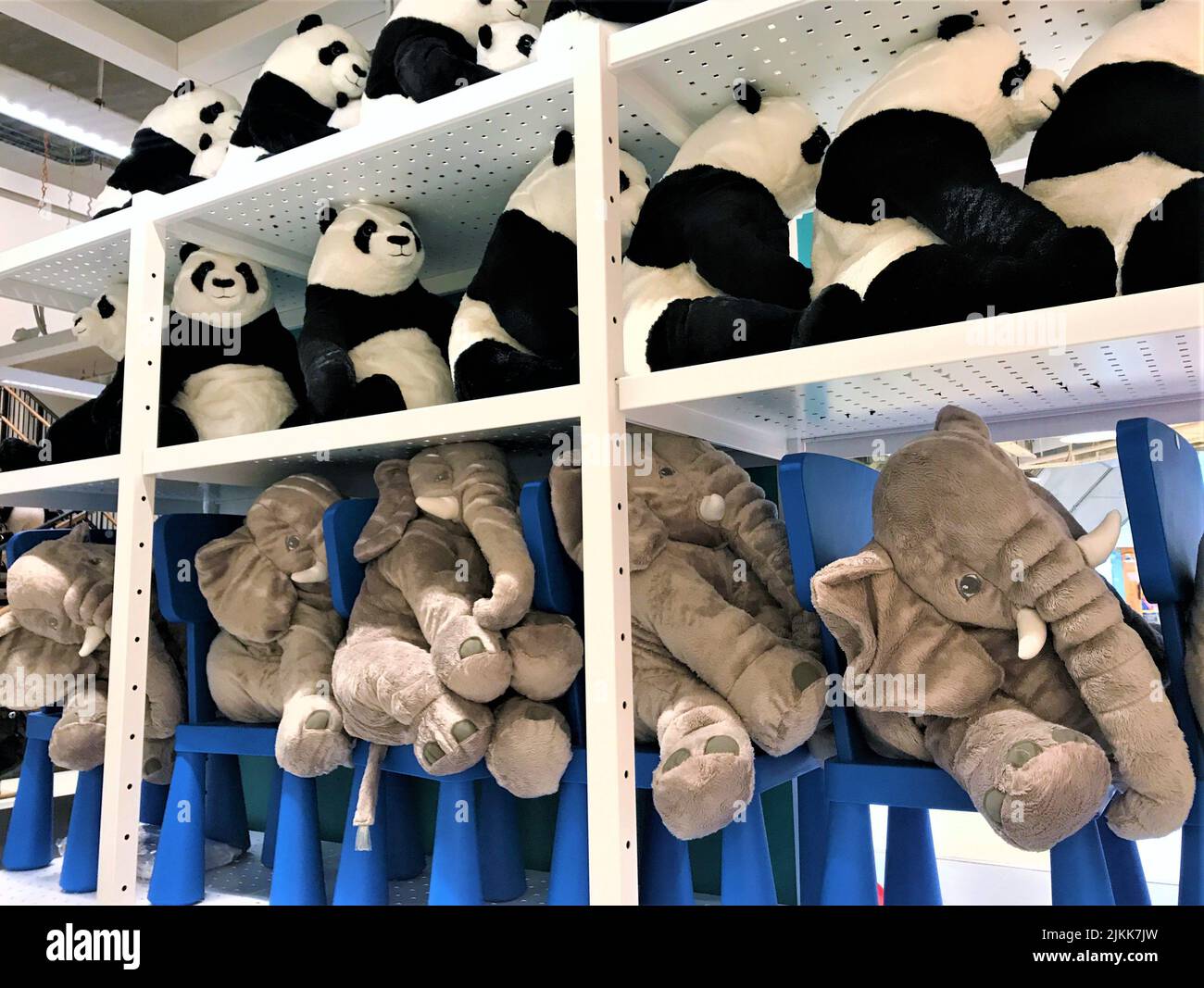Moscou, Russie, juillet 2019 : les pandas géants de Teddy avec des petits et des éléphants gris assis l'un derrière l'autre, sur des chaises bleues comme un bus sur un TH blanc Banque D'Images