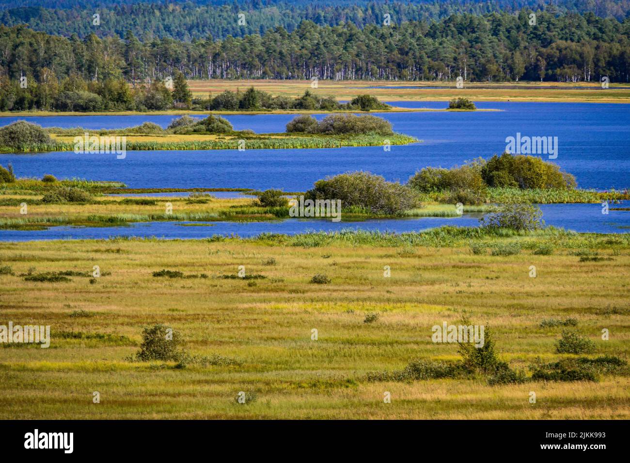 Une belle vue du Royaume de Suède avec la lumière du soleil Banque D'Images
