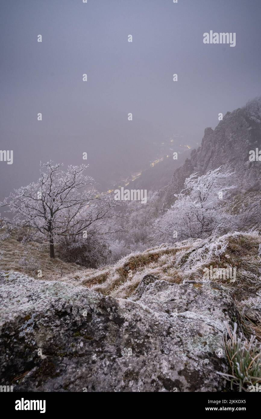 Un cliché vertical de collines et d'arbres couverts de gel et de neige sous le ciel sombre Banque D'Images