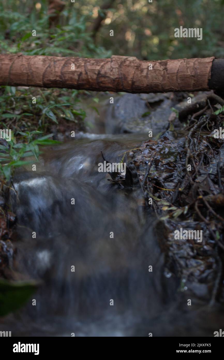 Photo verticale d'un jet d'eau à effet de soie qui coule dans un champ humide Banque D'Images