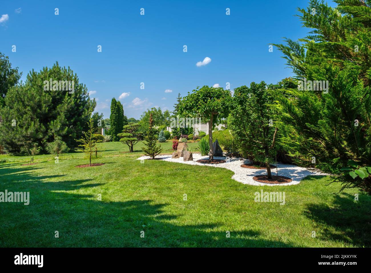 Arbres et buissons magnifiquement taillés sur la pelouse dans la cour Banque D'Images