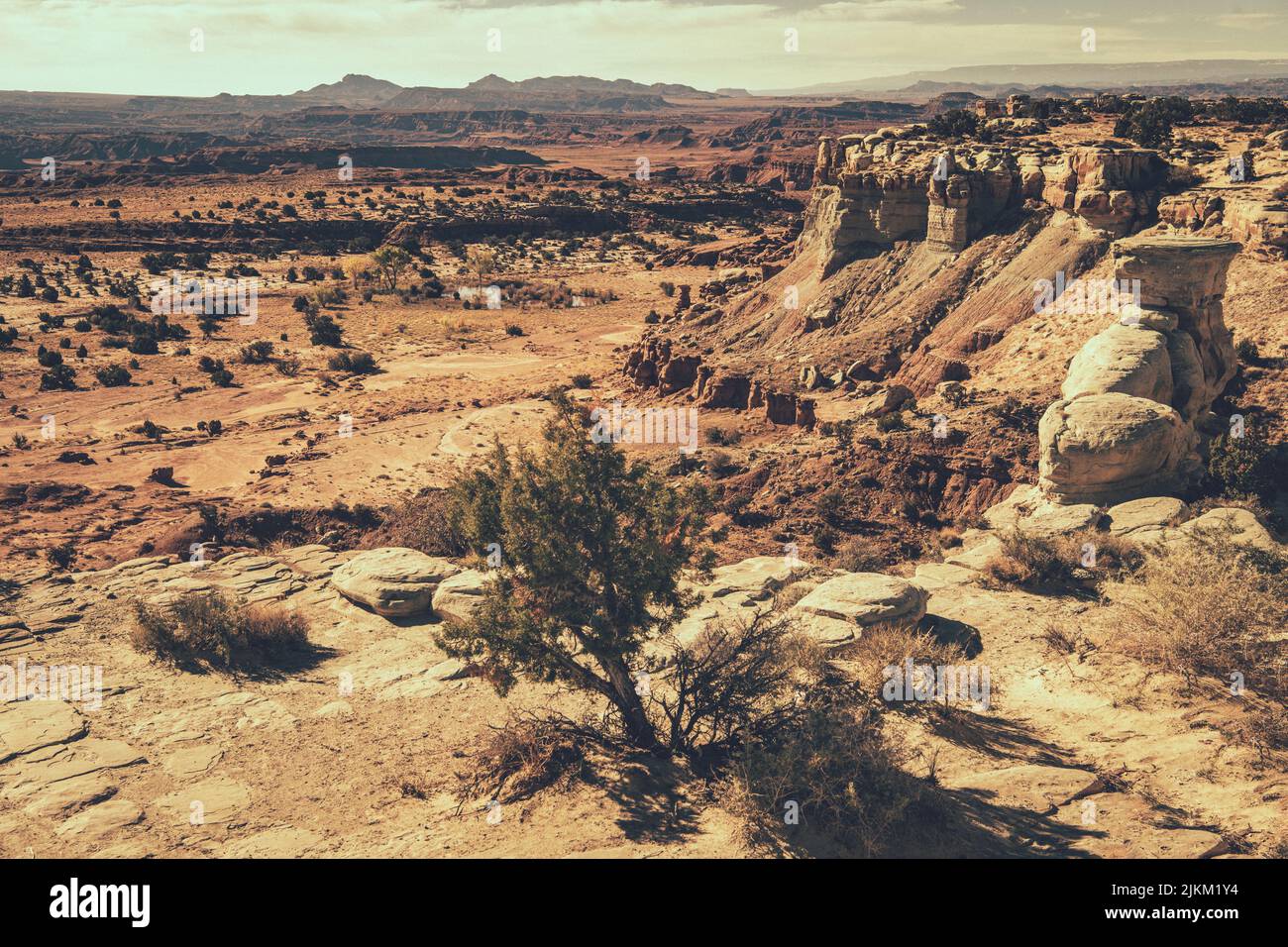 Paysage rocheux de l'Utah.Formations rocheuses colorées.Thème nature. Banque D'Images