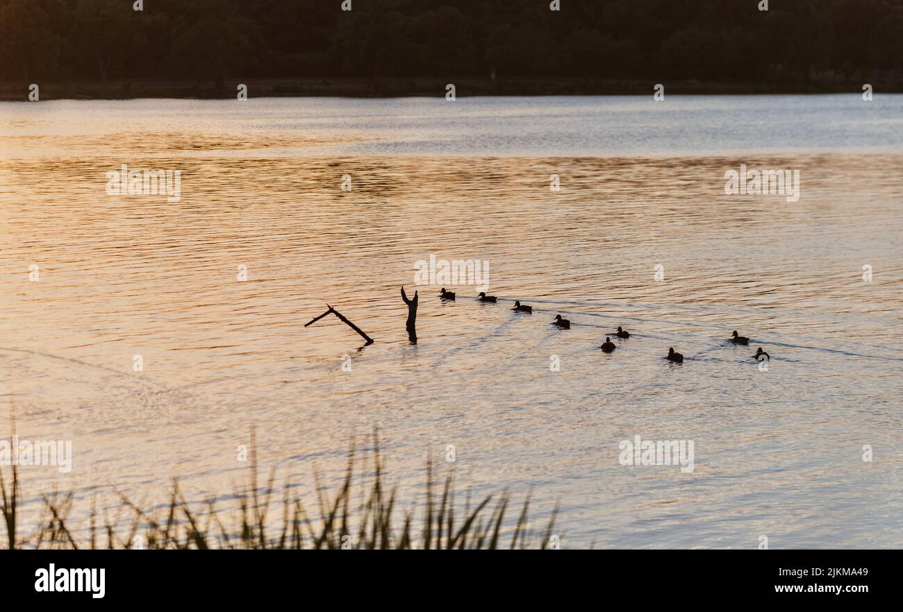 On Golden Pond Banque D'Images