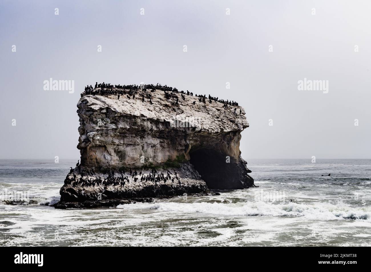 Ponts naturels State Beach, Santa Cruz, Californie Banque D'Images