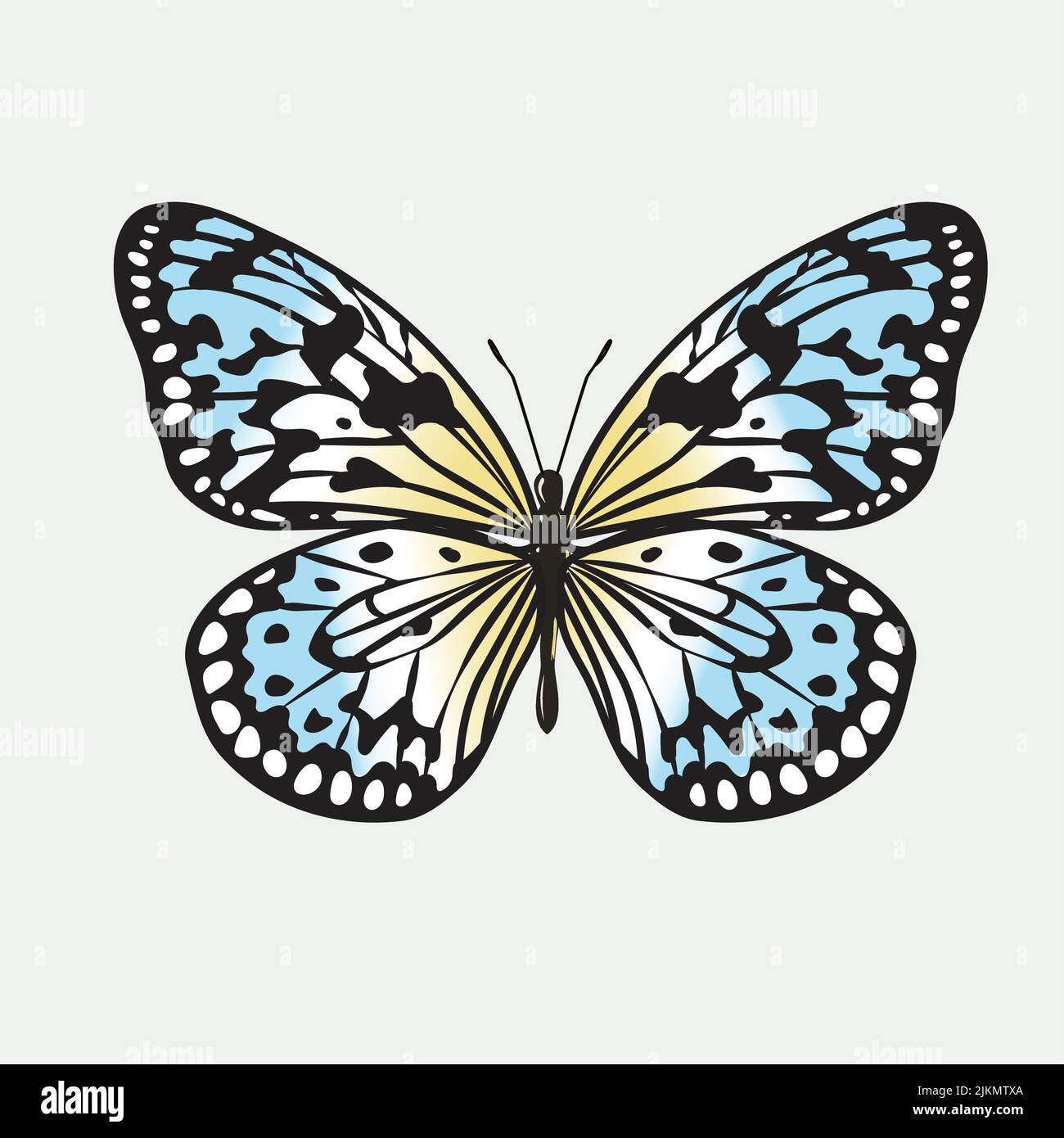 Une icône en forme de papillon coloré isolée sur fond blanc Illustration de Vecteur