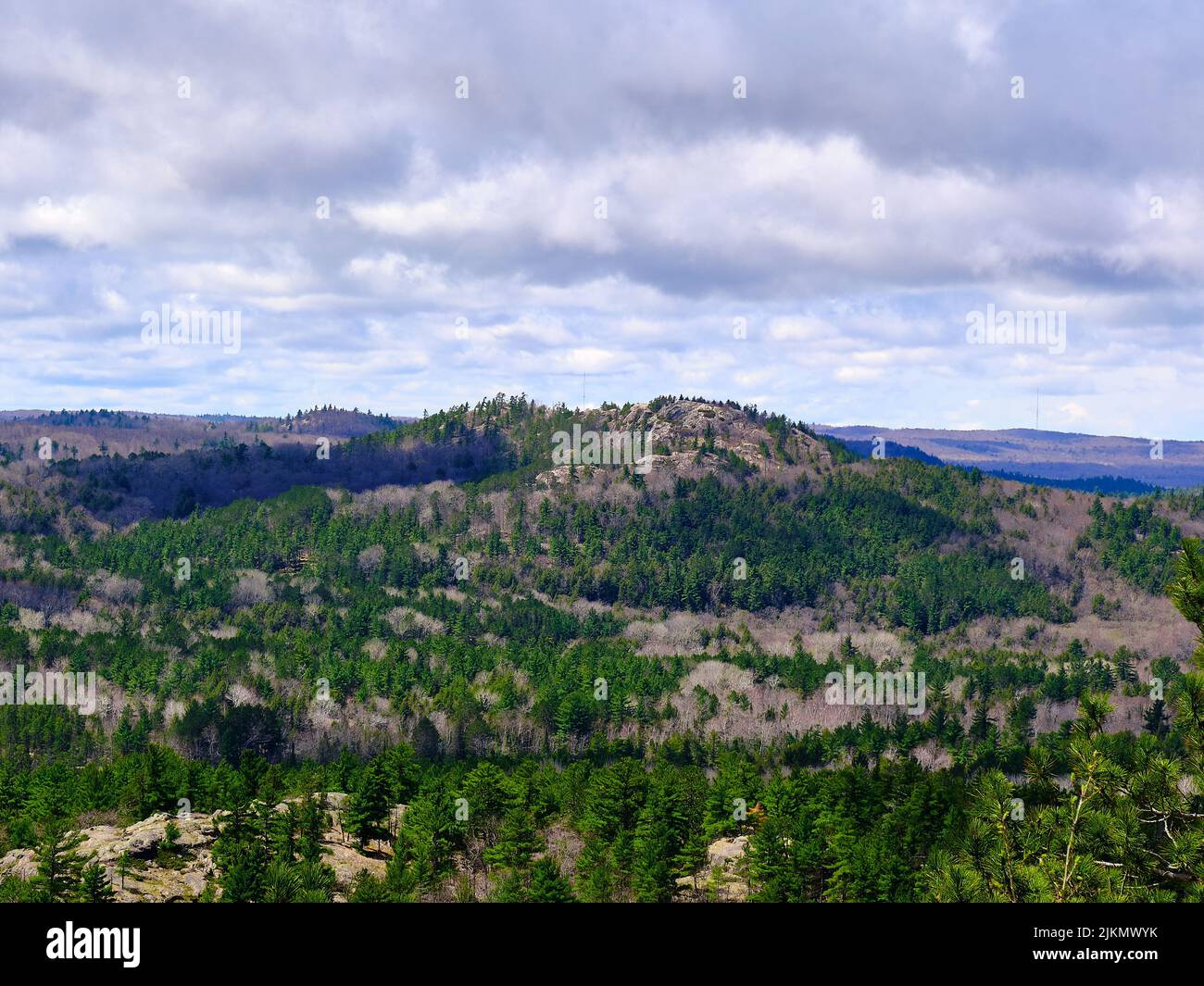 Une vue aérienne d'une forêt dans le nord du Michigan par le lac supérieur Banque D'Images