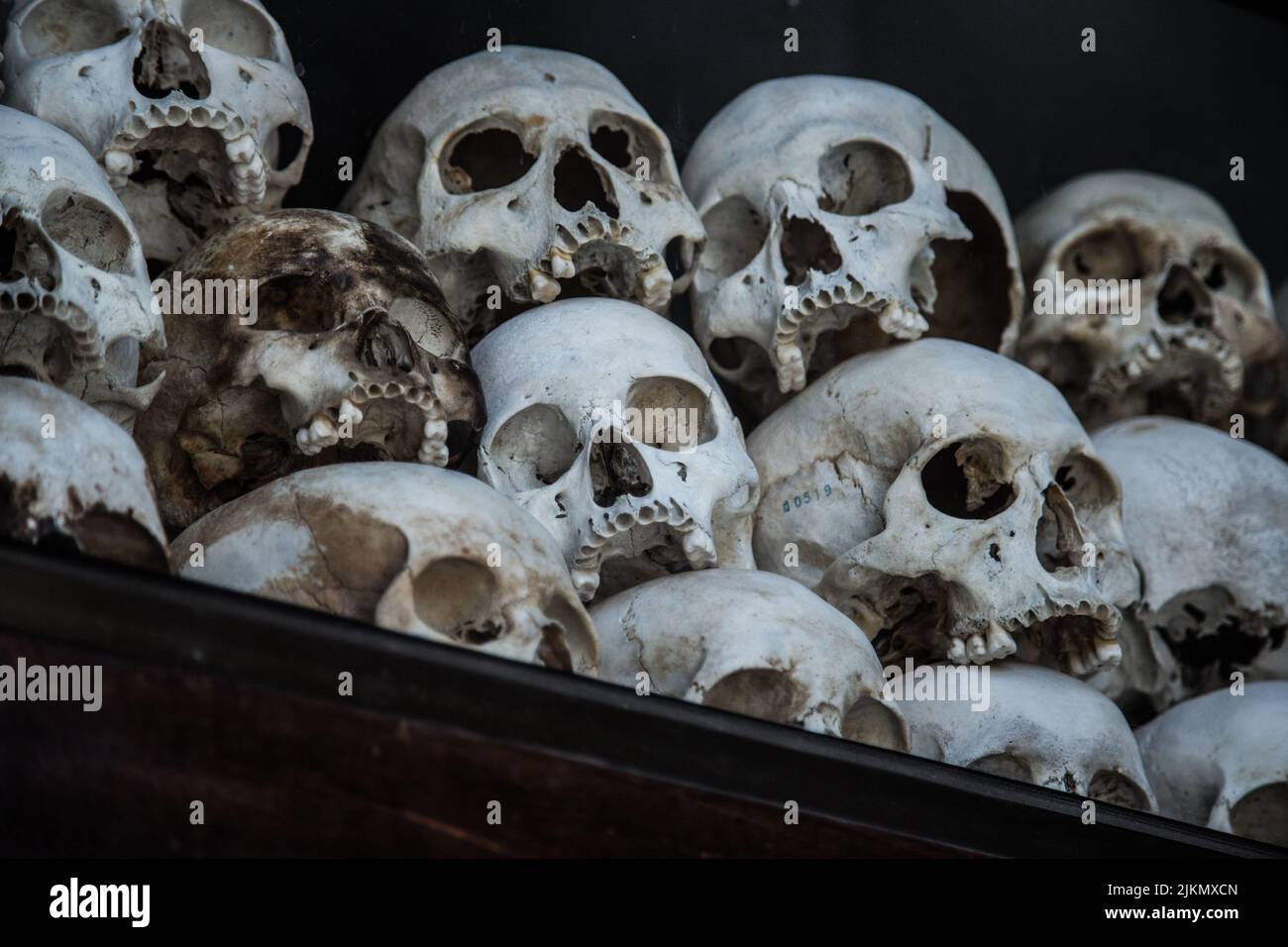 Un tas de crânes humains Banque D'Images