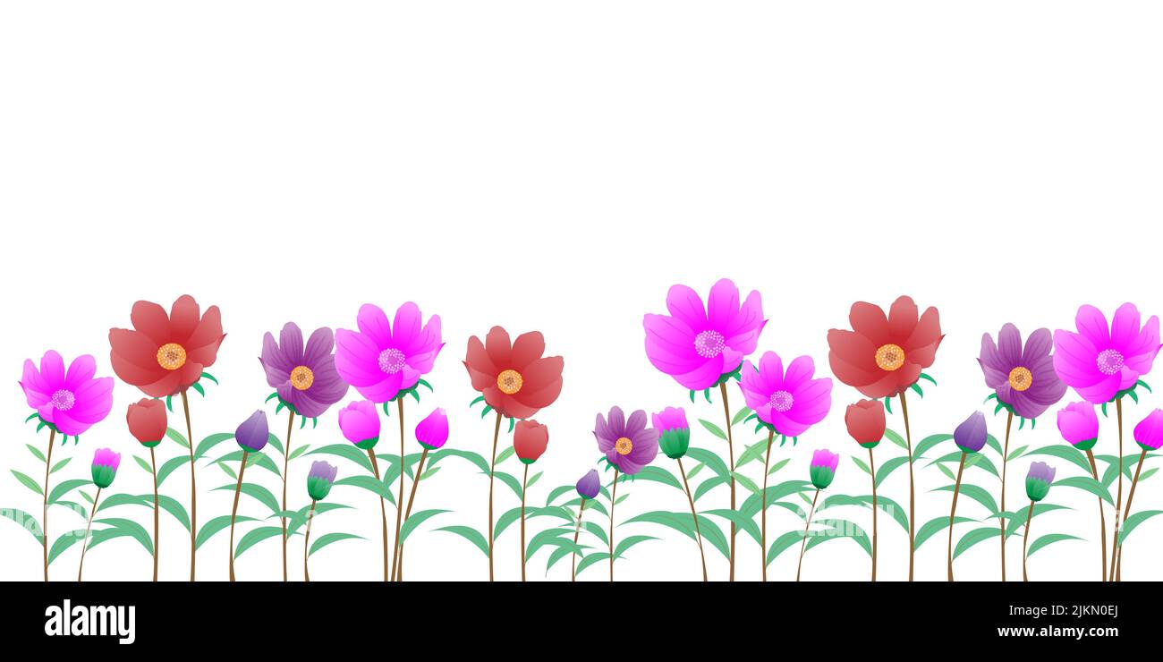 Les fleurs roses et rouges sur un fond blanc isolé Illustration de Vecteur