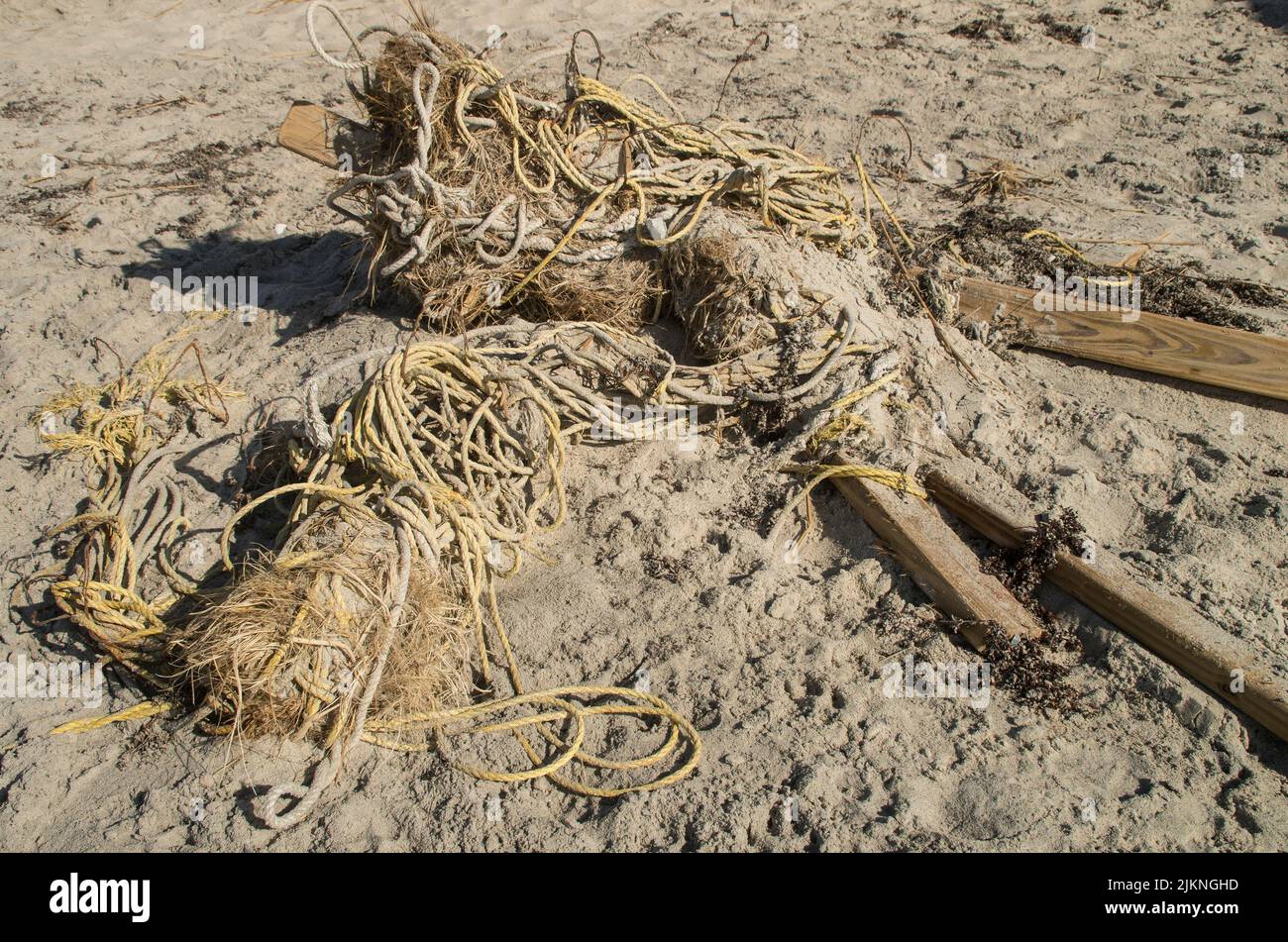 L'ouragan Florence litière déposés sur la plage à l'île d'émeraude de la Caroline du Nord. Banque D'Images L'ouragan Florence litière déposés sur la plage à l'île d'émeraude de la Caroline du Nord. Banque D'Images