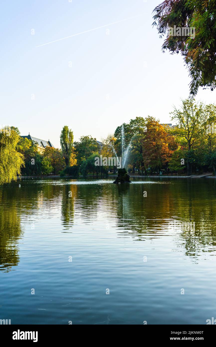 Paysage vert vif près du lac dans le jardin de Cismigiu (Gradina Cismigiu), un parc public dans le centre-ville de Bucarest Banque D'Images