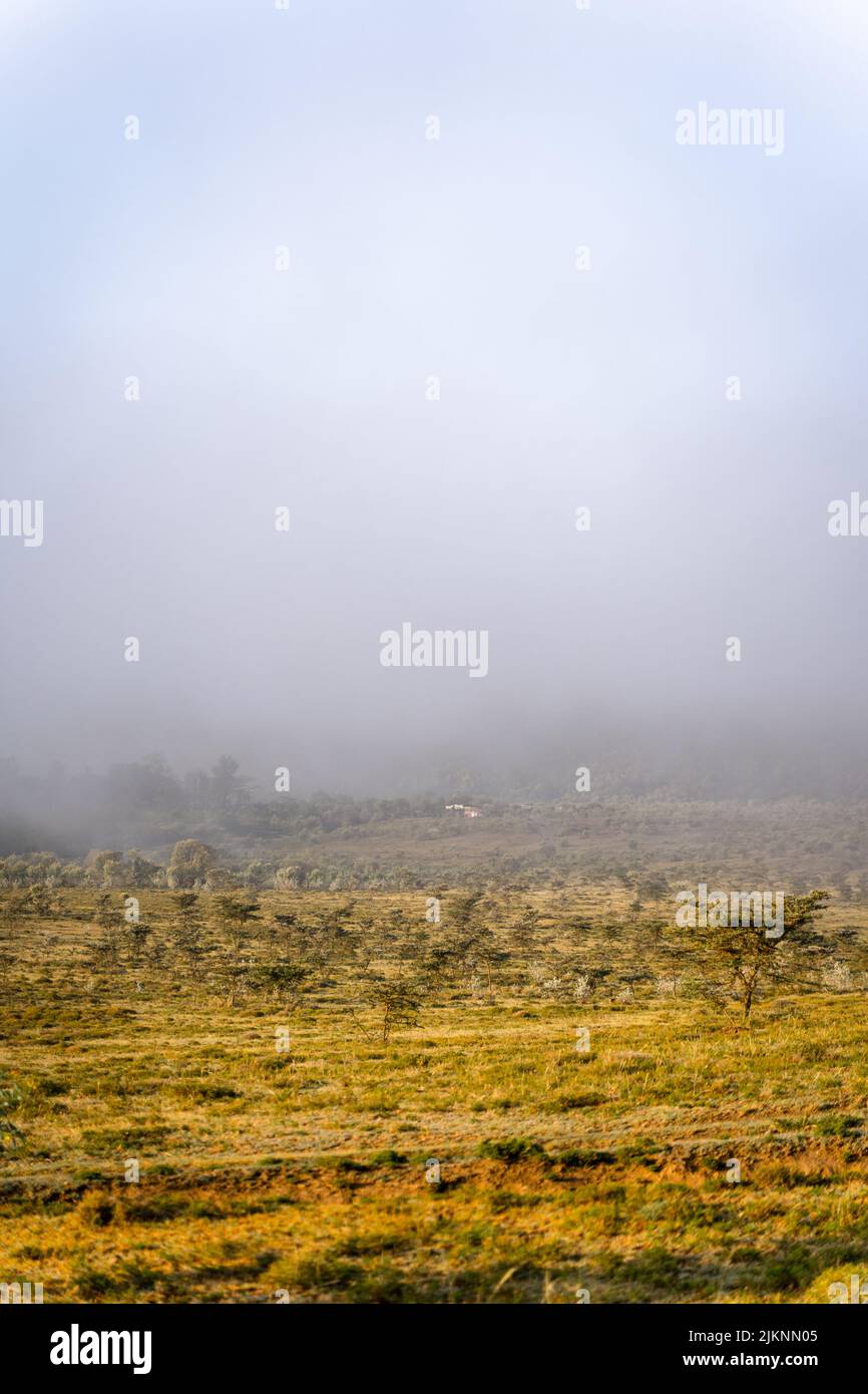 Un cliché vertical du mont Longonot sous le brouillard Banque D'Images