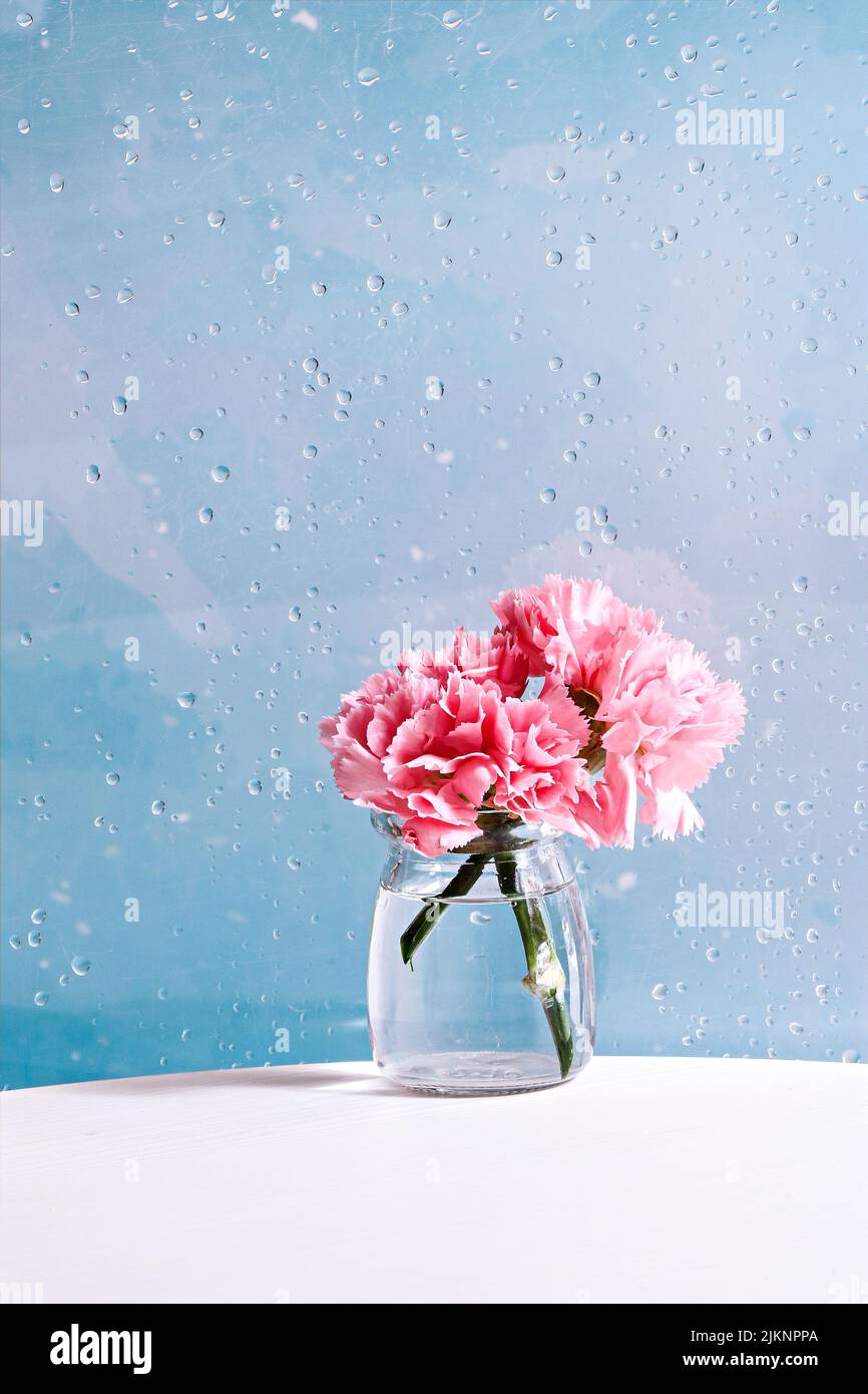 Un gros plan vertical d'un vase transparent de fleurs roses sur une table sur fond bleu de gouttes d'eau Banque D'Images