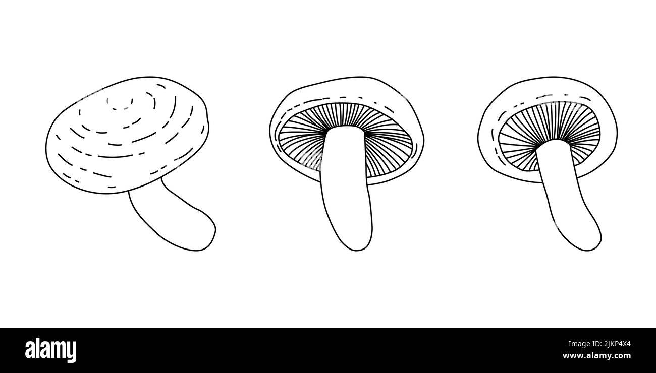 illustration avec bouton blanc d'arrière-plan de champignons isolé. Vintage. Illustration vectorielle Illustration de Vecteur