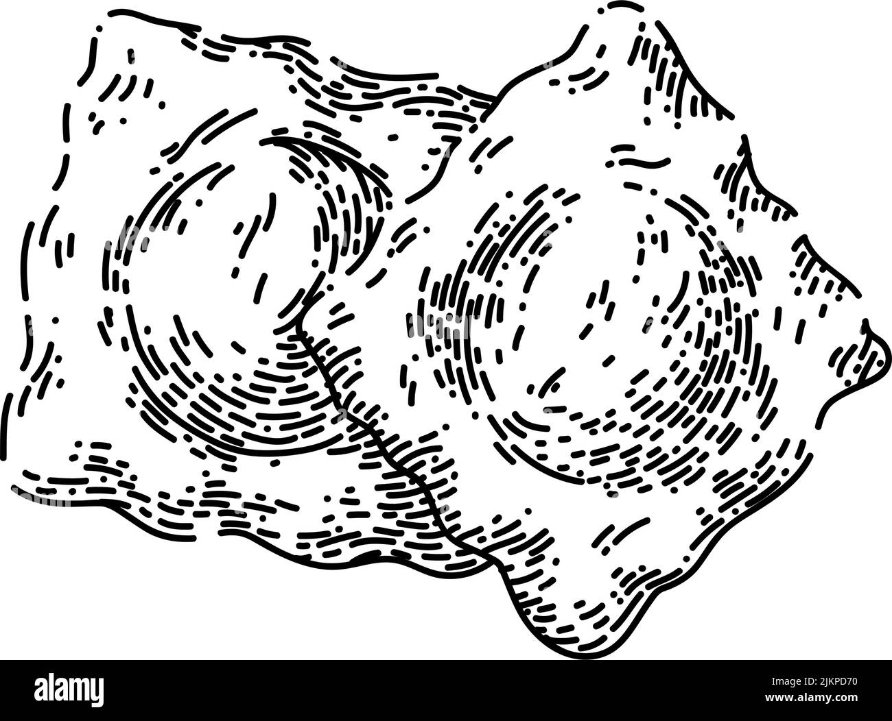 ravioli esquisse vecteur dessiné à la main Illustration de Vecteur