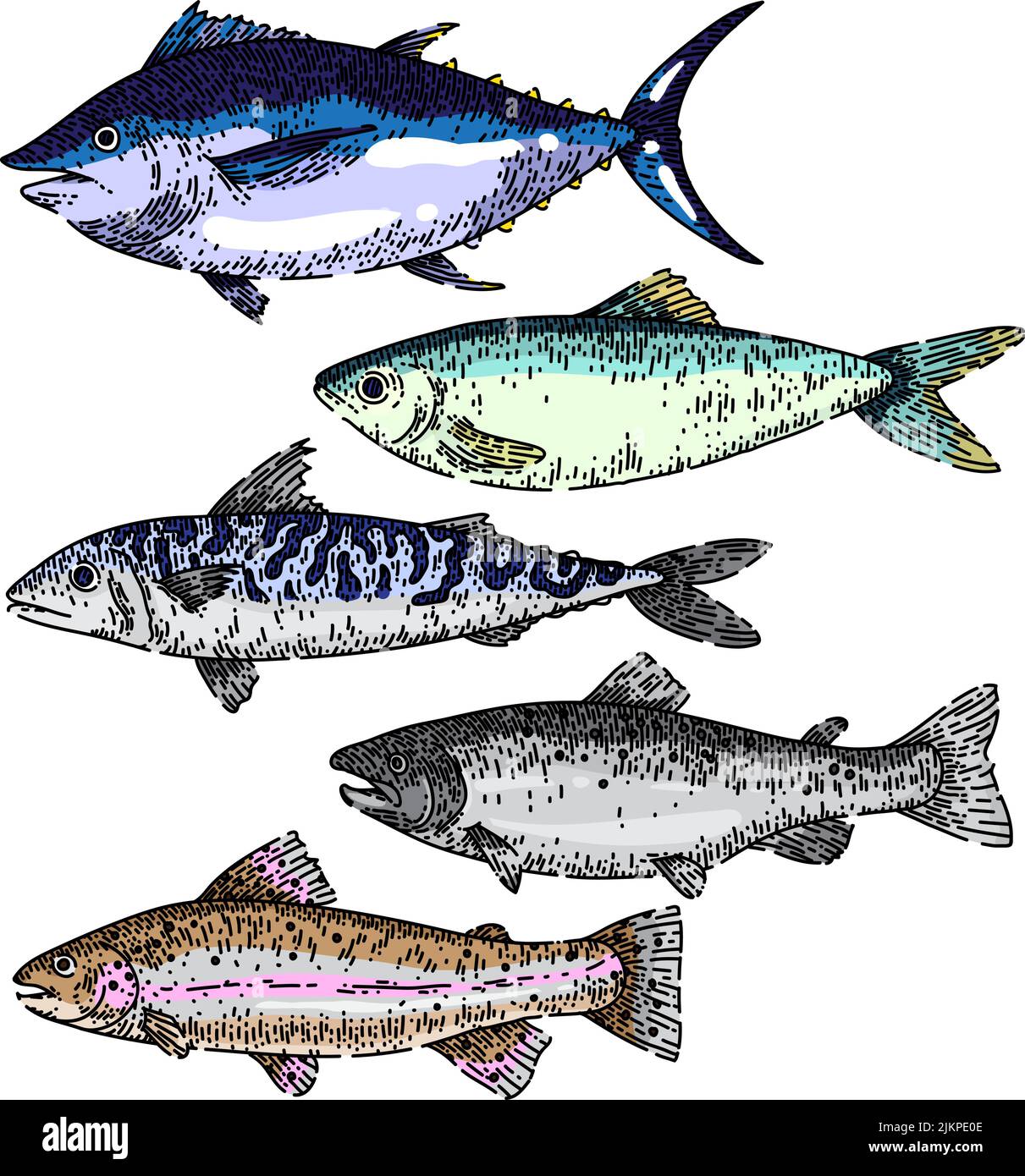 ensemble de nourriture de poisson esquisse vecteur dessiné à la main Illustration de Vecteur