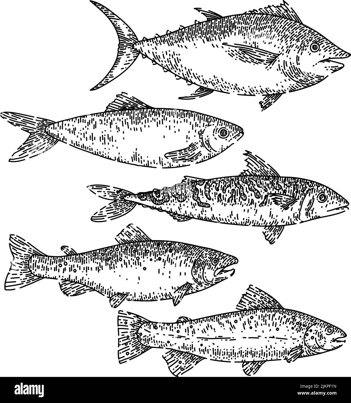 ensemble de nourriture de poisson esquisse vecteur dessiné à la main Illustration de Vecteur