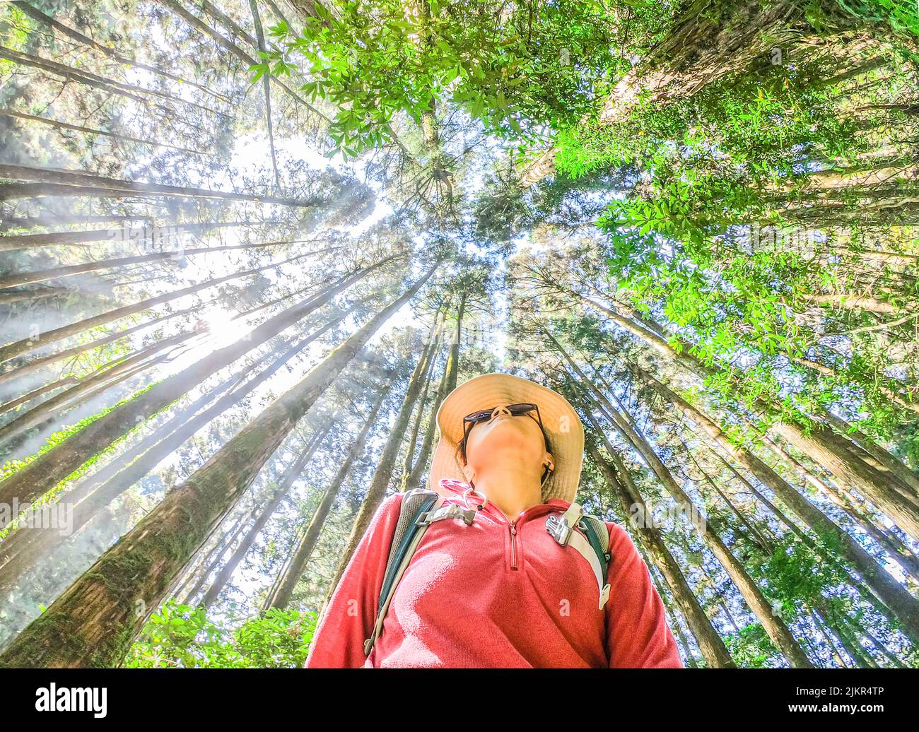 Hiker girl in Tefuye Trail, Taïwan Banque D'Images