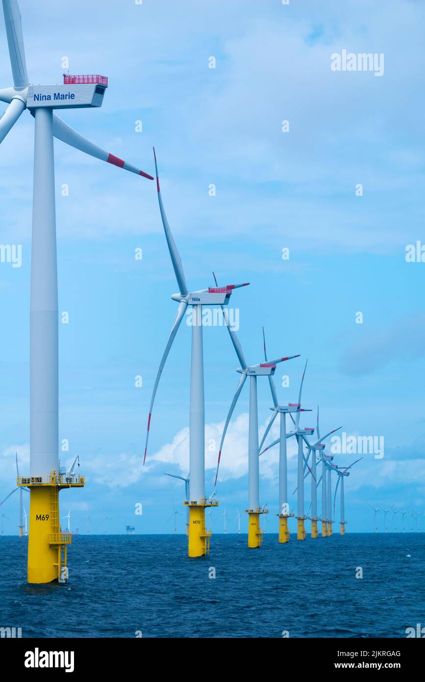 Centrales éoliennes offshore près de l'île de haute mer Heligoland, Mer du Nord, Allemagne du Nord, Europe Banque D'Images