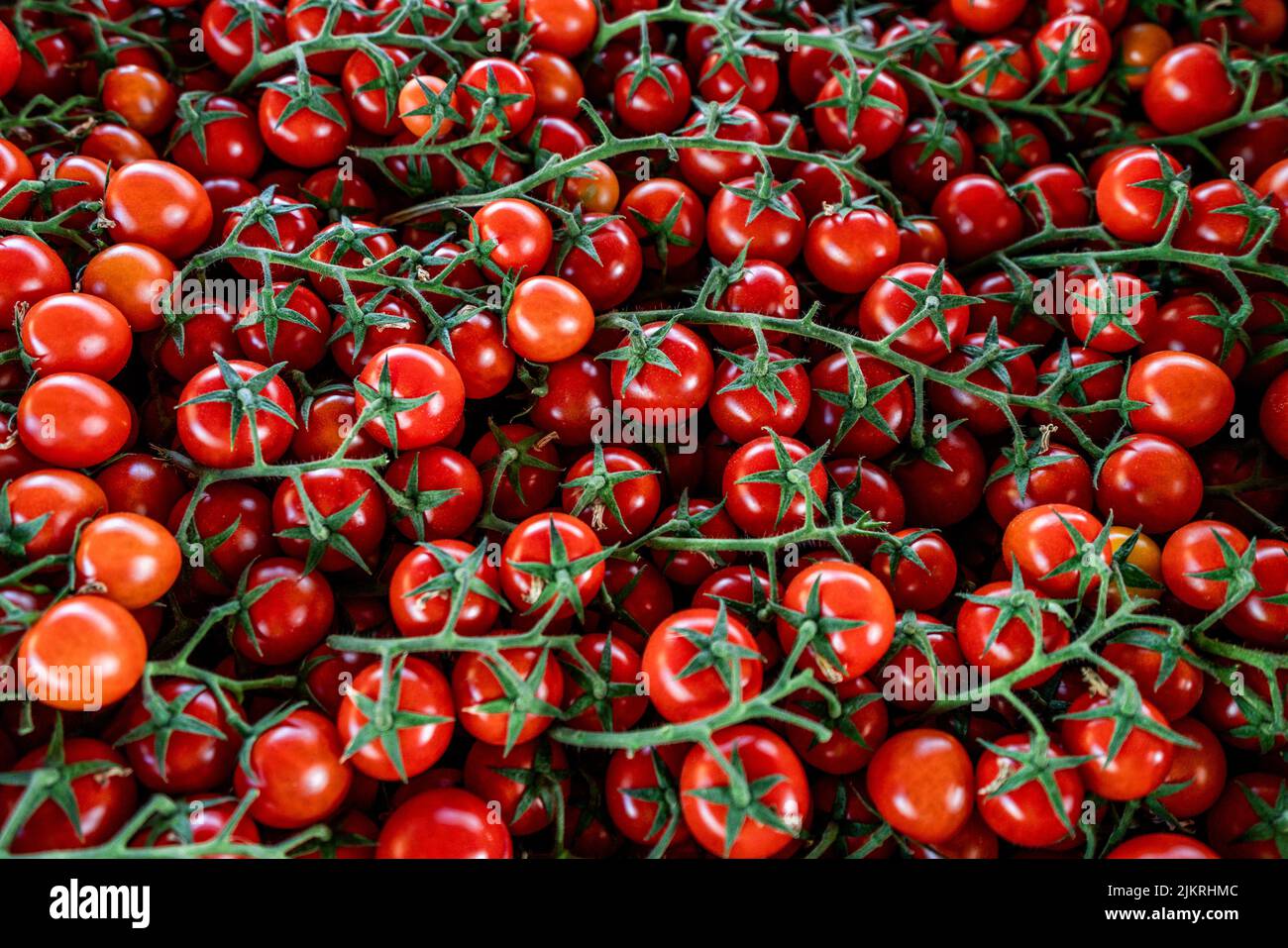 Tomates cerises fraîches biologiques comme arrière-plan Banque D'Images