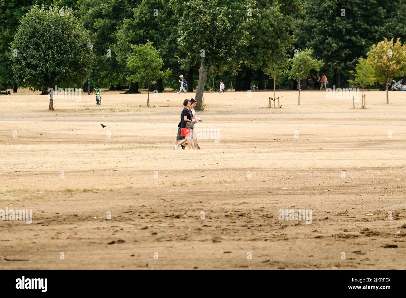 Hyde Park, Londres, Royaume-Uni. 3rd août 2022. Météo au Royaume-Uni : avertissements de sécheresse. Scènes sèches Hyde Park, Londres. Crédit : Matthew Chattle/Alay Live News Banque D'Images