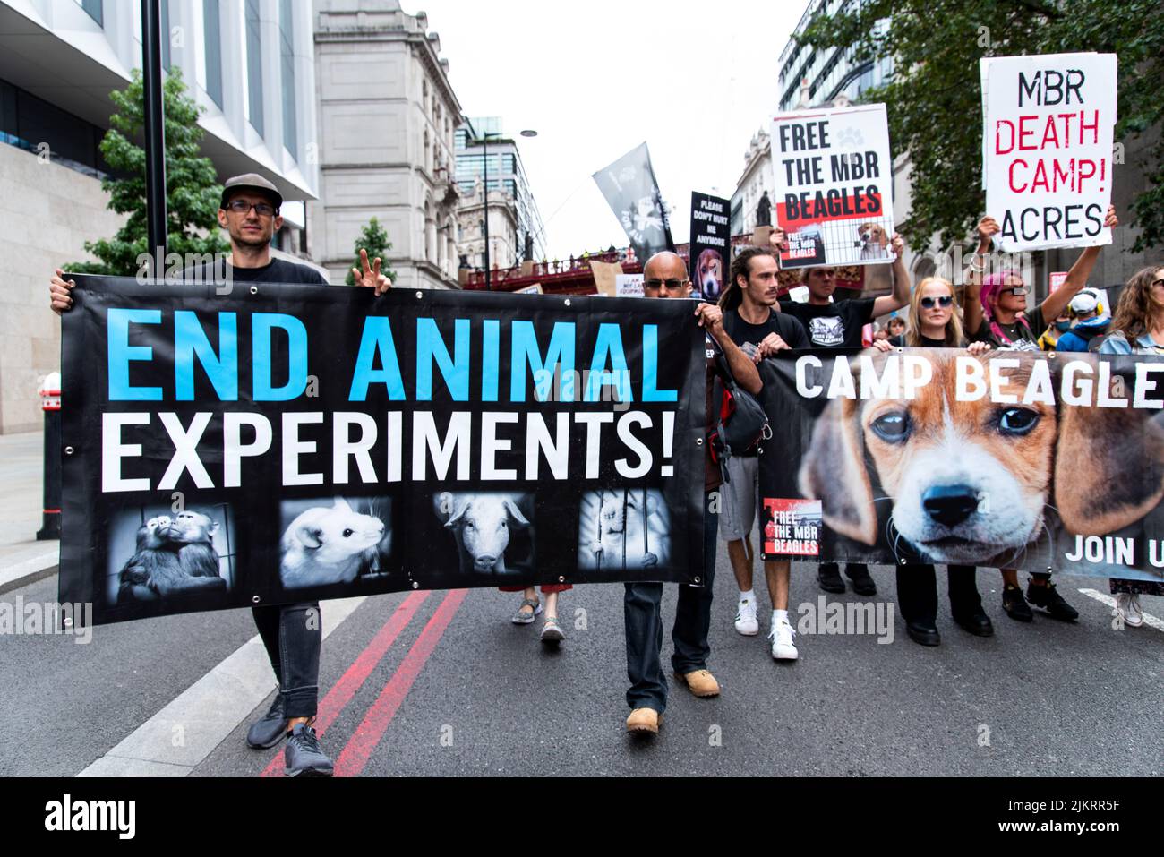 End animal testing Banque de photographies et d'images à haute résolution - Alamy End animal testing Banque de photographies et d'images à haute résolution - Alamy