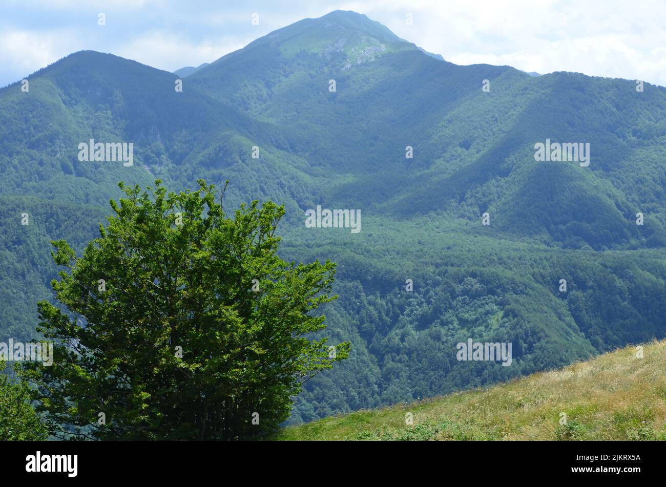 Parco Nazionale dell'Appennino Tosco-Emiliano, parc national à la frontière entre la Toscane et l'Émilie-Romagne Banque D'Images