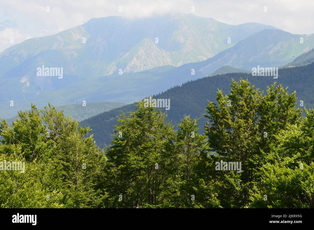 Parco Nazionale dell'Appennino Tosco-Emiliano, parc national à la frontière entre la Toscane et l'Émilie-Romagne Banque D'Images