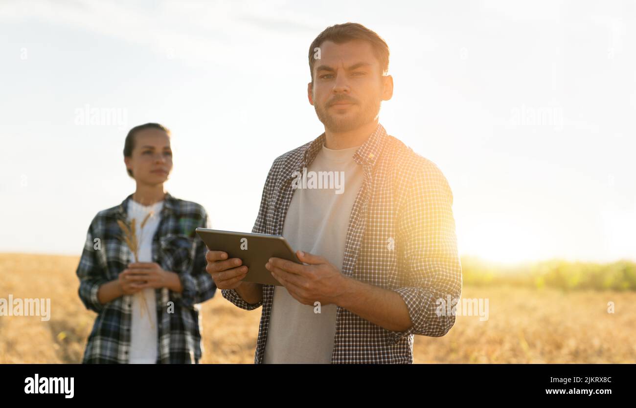 Deux agriculteurs examinent le domaine des céréales et envoient des données au nuage à partir de la tablette. Agriculture intelligente et agriculture numérique. Banque D'Images