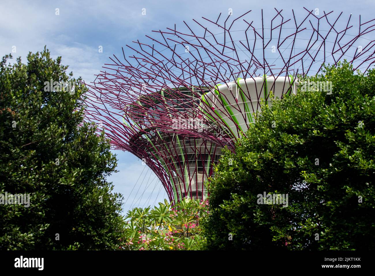 Conception OCBC Supertree Grove, se fond dans le concept vert forêt de la nature, ciel bleu clair, aventure en plein air, Gardens by the Bay. Singapour. Banque D'Images