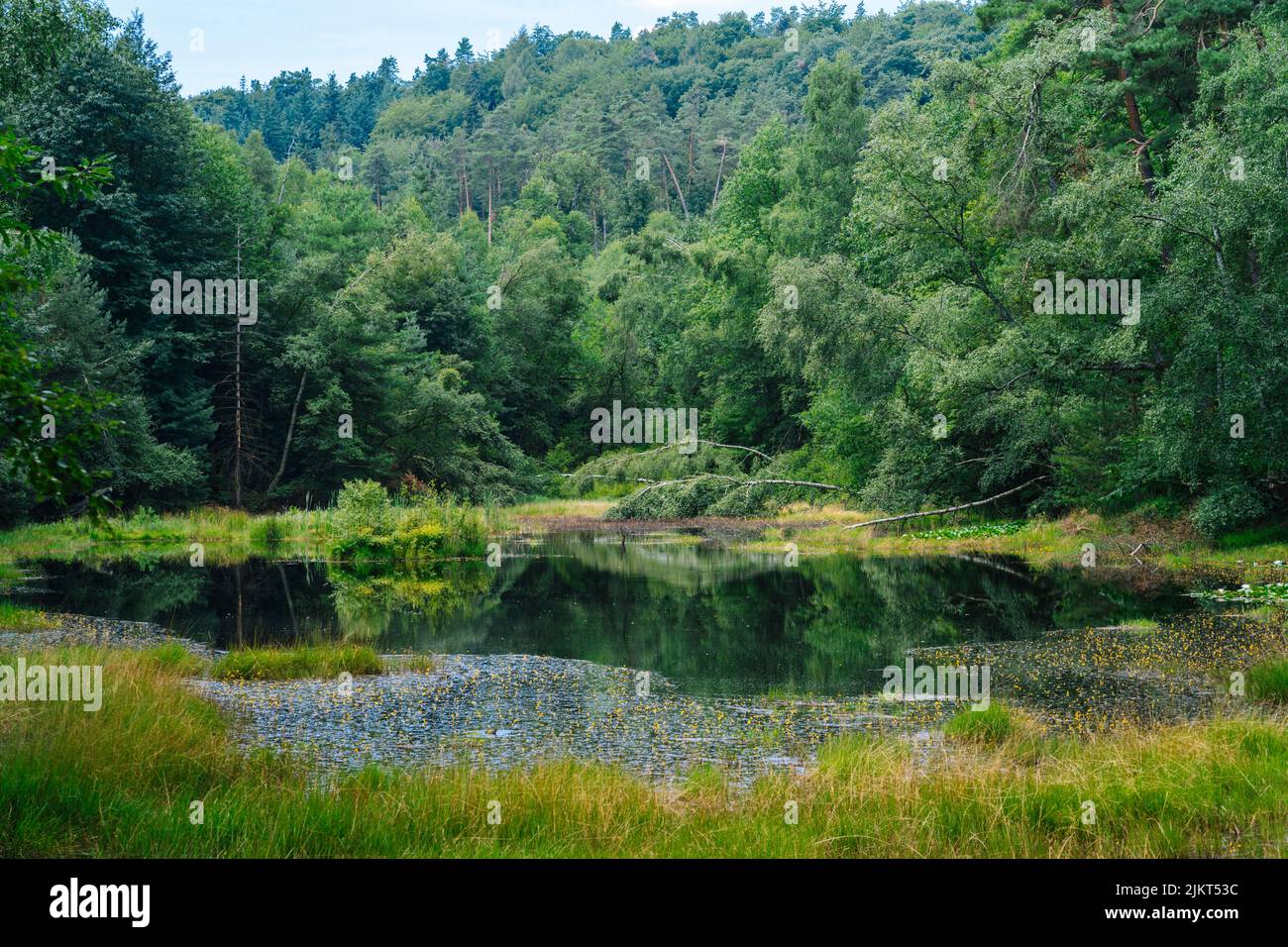 Ungeheuersee dans la forêt du Palatinat Banque D'Images