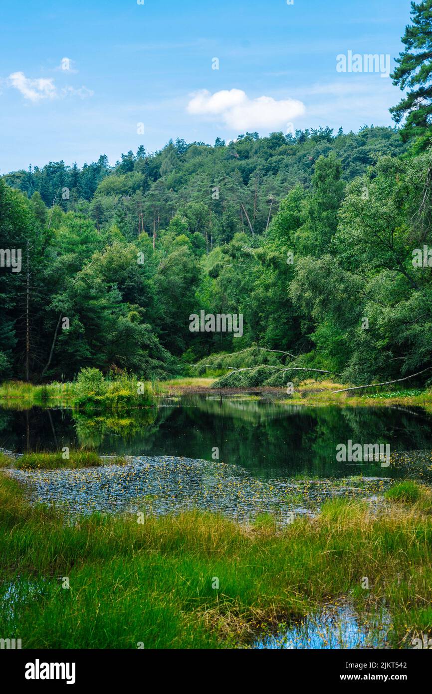 Ungeheuersee dans la forêt du Palatinat Banque D'Images
